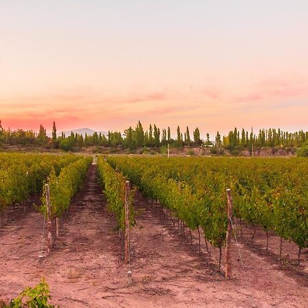 Villa Media Agua Marale Wines Hotel Boutique المظهر الخارجي الصورة