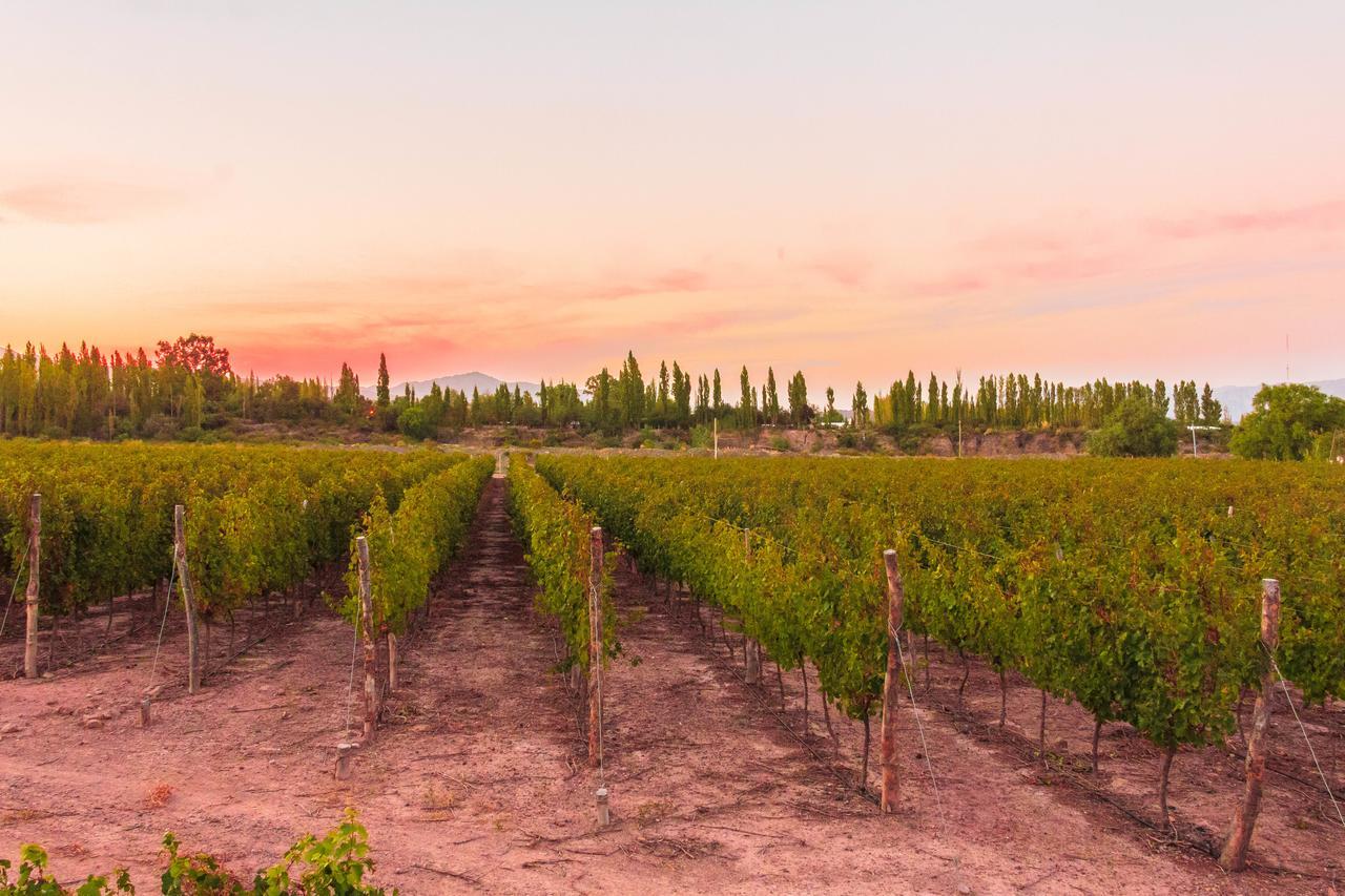 Villa Media Agua Marale Wines Hotel Boutique المظهر الخارجي الصورة