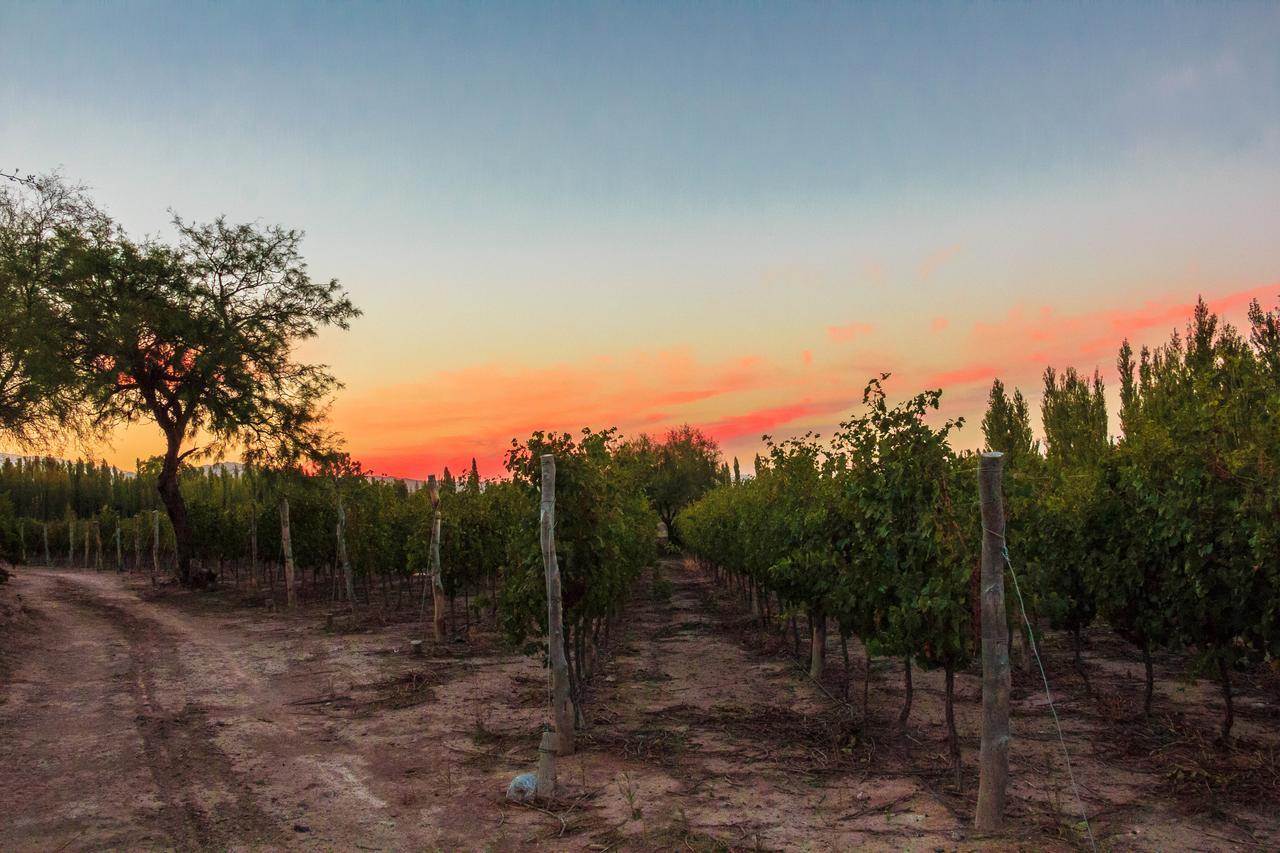 Villa Media Agua Marale Wines Hotel Boutique المظهر الخارجي الصورة