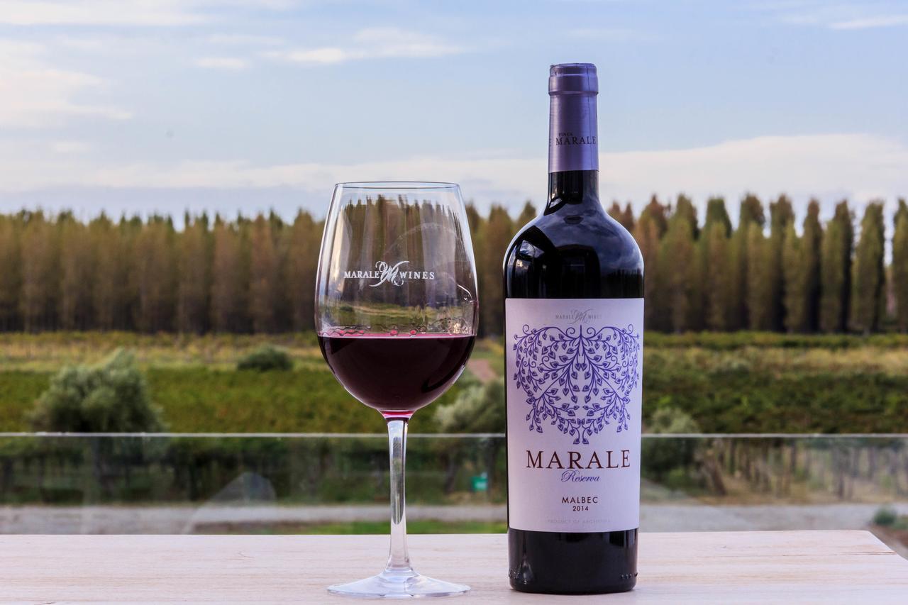 Villa Media Agua Marale Wines Hotel Boutique المظهر الخارجي الصورة
